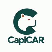 CapiCAR